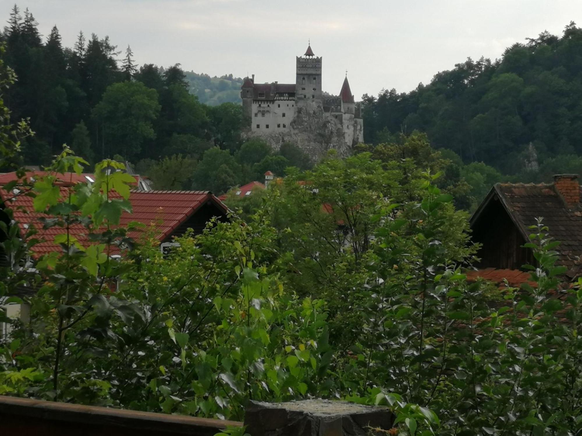 Pensiunea Transilvania Lodge Бран Экстерьер фото